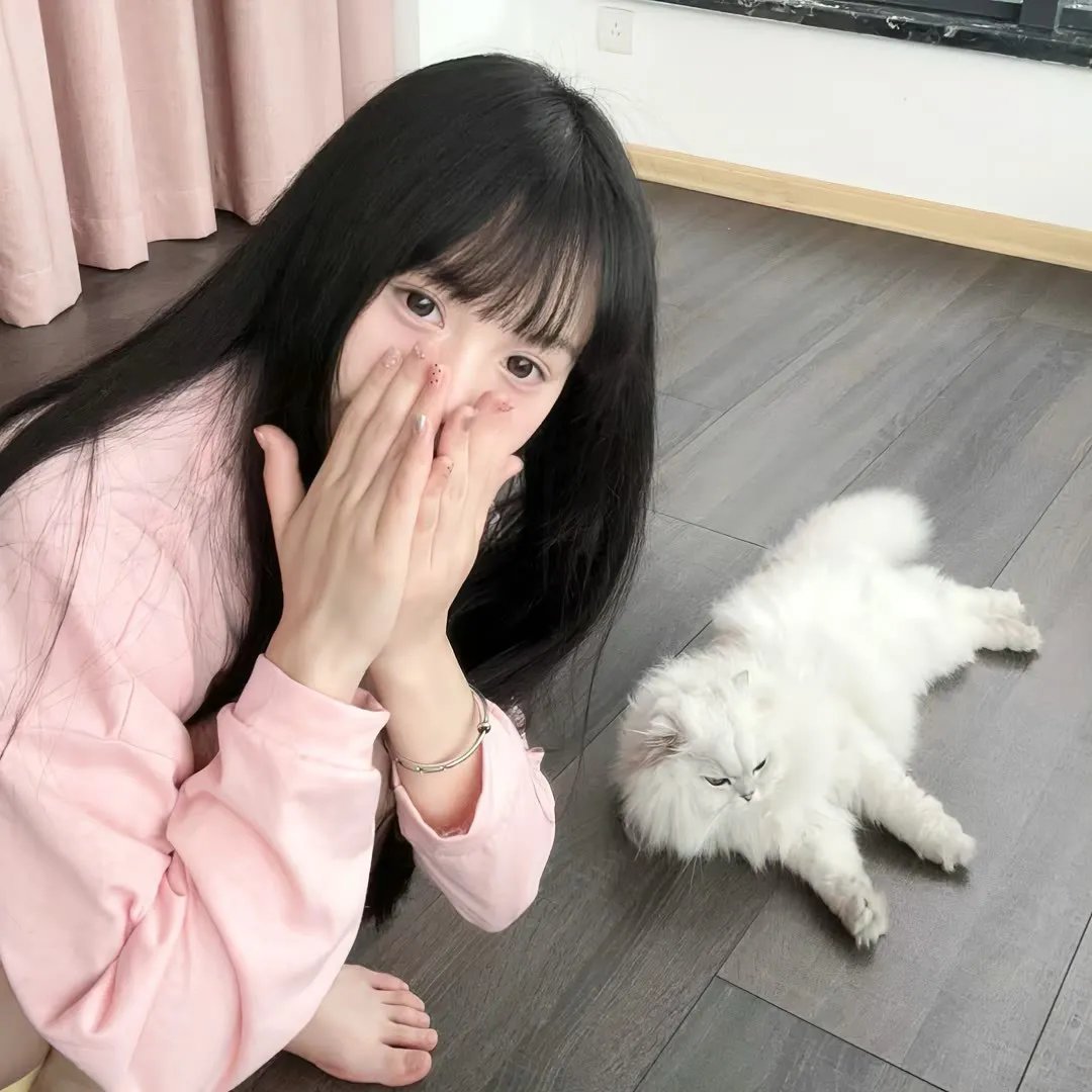 房子与狗