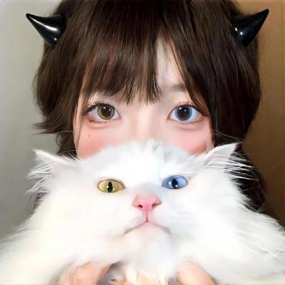 陆贞传奇