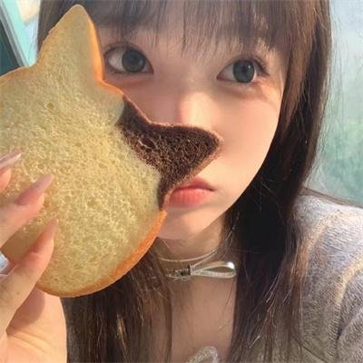 萌犬流浪记